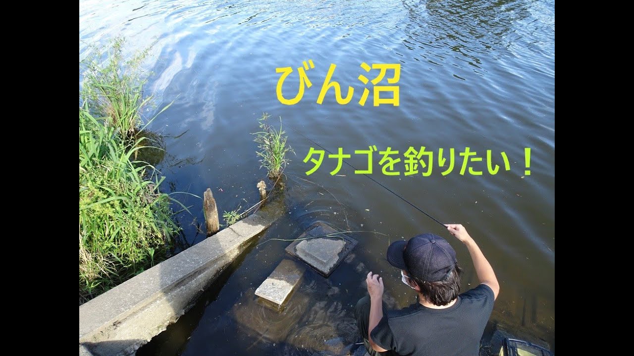 びん沼デビュー(小物釣り)【富士見市】☆smallfishing in Saitama Japan☆