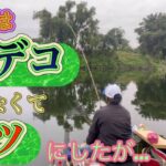 《へらぶな釣り  to  川田谷沼》 両日共低活性に😭まだ宙より底の方が釣れてる感が😓リベンジならず😵