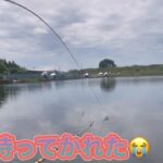 《へらぶな釣り to 切れ所沼》今日も出だし良かったけど前回同様中怠みで3時間ぐらい釣れない😩穂先ロケット発射しちゃうし😭