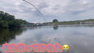 《へらぶな釣り to 切れ所沼》今日も出だし良かったけど前回同様中怠みで3時間ぐらい釣れない😩穂先ロケット発射しちゃうし😭