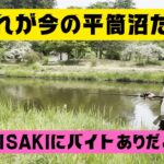 【宮城県釣り】これが今の平筒沼だ！　バイトだと！？