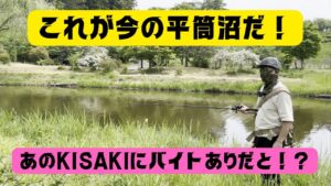 【宮城県釣り】これが今の平筒沼だ！　バイトだと！？