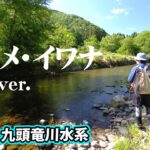 飯田重祐が狙う本流ヤマメ＆イワナ 『トラウトギャラリー 九頭竜川水系』【釣りビジョン】