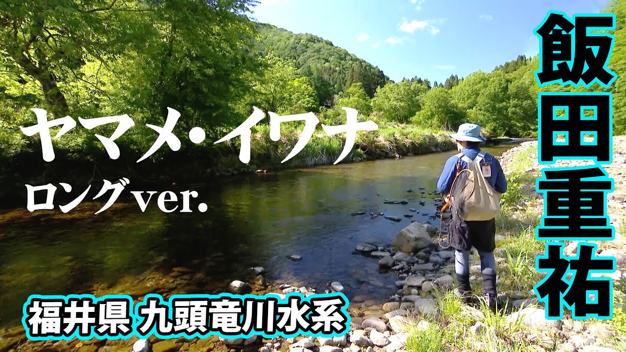 飯田重祐が狙う本流ヤマメ&イワナ 『トラウトギャラリー 九頭竜川水系』【釣りビジョン】