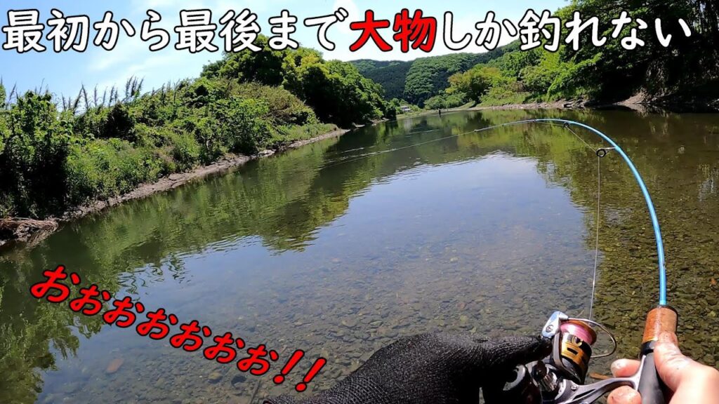 最初から最後まで大物しか釣れないくて楽し過ぎた！！