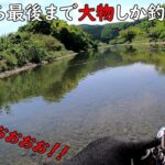 最初から最後まで大物しか釣れないくて楽し過ぎた！！