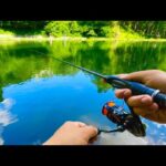 大物だらけの管理釣り場の『禁断の時間』がヤバ過ぎた...