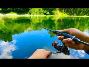 大物だらけの管理釣り場の『禁断の時間』がヤバ過ぎた...