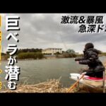 巨ベラ狙いの印旛沼水系でドボン釣りでマッシュを打ち続けた【鹿島川】