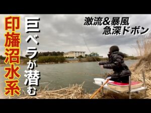 巨ベラ狙いの印旛沼水系でドボン釣りでマッシュを打ち続けた【鹿島川】