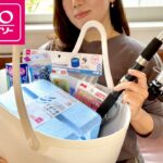 ダイソー購入品のみで釣りを始める方法