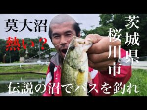 【茨城バス釣りポイント】ロクマルがいると言われてる沼を調査せよ！【バス釣り】