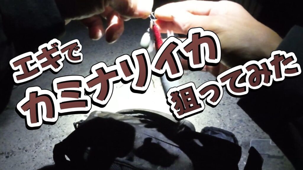 【浜名湖 釣り】エギでカミナリイカ狙ってみた