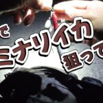 【浜名湖 釣り】エギでカミナリイカ狙ってみた