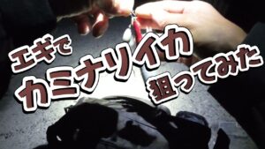 【浜名湖 釣り】エギでカミナリイカ狙ってみた