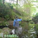 自然に溶け込む感じ♪めちゃくちゃ雰囲気が良い川～♪  飯能市 直竹川で小物釣り。