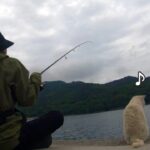 宮城県の海で色んな釣りをしてみたら予想外の魚が釣れてわたしも猫様も喜んだ