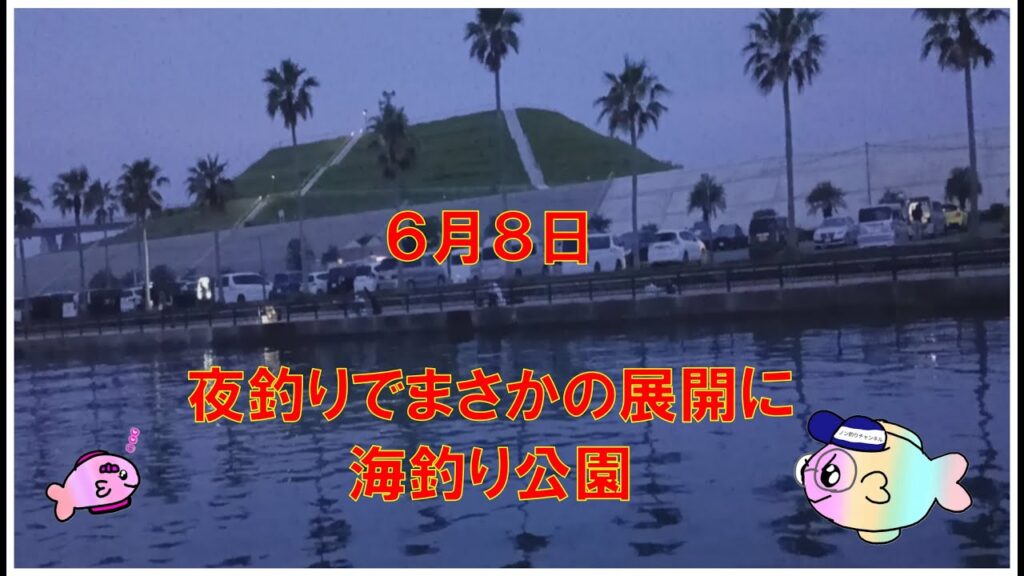 浜名湖　釣り　まさかこんな展開になるとは…６月８日夜釣り～水中映像