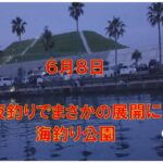 浜名湖　釣り　まさかこんな展開になるとは…６月８日夜釣り～水中映像