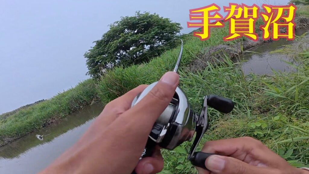 手賀沼の一級ポイント行くたび釣れる&津久井湖モンスター