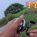 手賀沼の一級ポイント行くたび釣れる&津久井湖モンスター