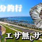 ダイソータックルを持ち、浜名湖で３０分サビキ釣りをやると・・・🐟【ぶっこみサビキ釣り】６月上旬