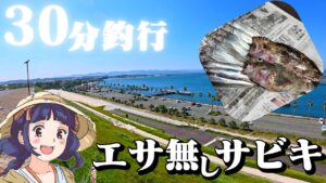 ダイソータックルを持ち、浜名湖で３０分サビキ釣りをやると・・・🐟【ぶっこみサビキ釣り】６月上旬