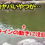 予想外の大物が…！戸神の池／エリアトラウト／管理釣り場