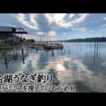 浜名湖鰻最強な餌の取れるポイント🐟