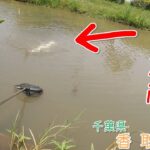 こんな場所で高級魚が釣れました！ 〇〇〇って釣れるんだ～！ 千葉県 香取で小物釣り。