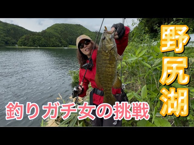 【バス釣り】おかっぱりでスモールマウスバス釣り!【野尻湖】