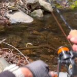 【渓流釣り】イワナ高活性