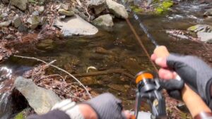 【渓流釣り】イワナ高活性