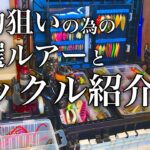 エリアトラウトの大物狙いで使用しているタックルと激選ルアー紹介 【管理釣り場】【赤身サーモンの釣り方】【初心者向け】