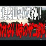 埼玉県柴山沼でバス釣り!チビバスのオンパレード!!