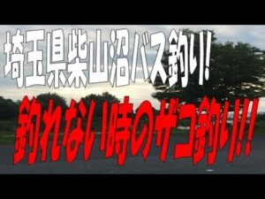 埼玉県柴山沼でバス釣り!チビバスのオンパレード!!