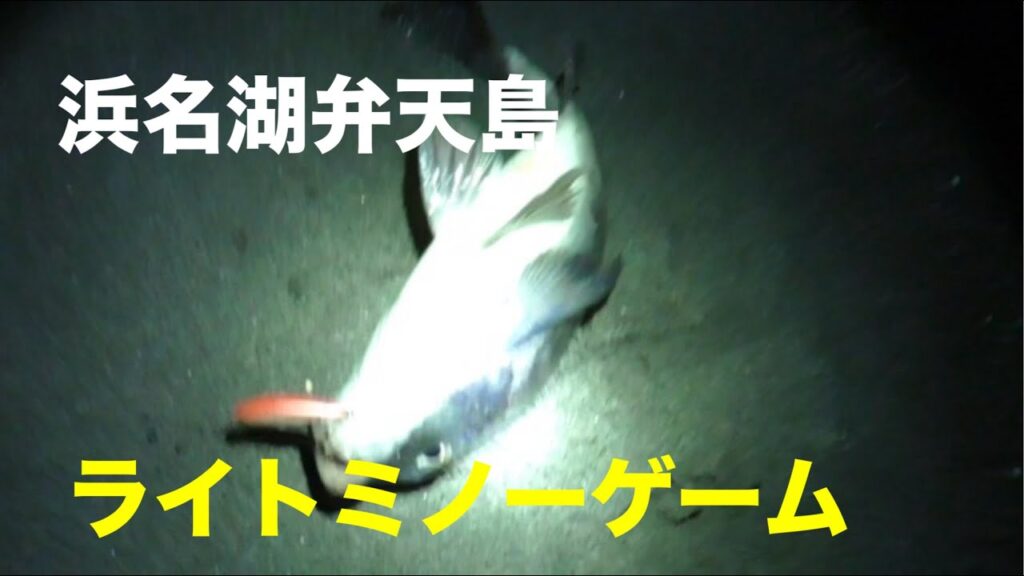 浜名湖弁天島で夜のルアー釣り