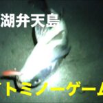 浜名湖弁天島で夜のルアー釣り