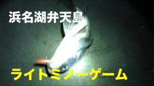 浜名湖弁天島で夜のルアー釣り