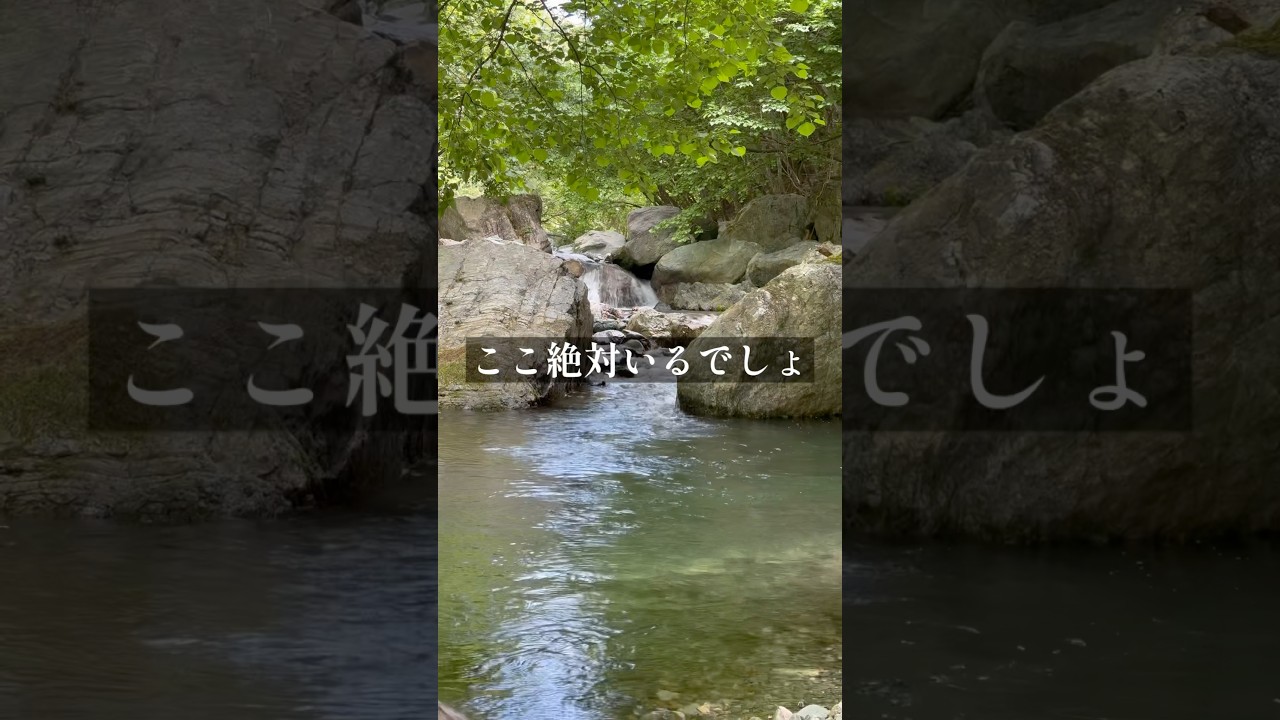 渓流釣りで川の幸をいただきます　#釣り #渓流釣り