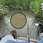 まわりすべて草に囲まれた場所で釣りに没頭する