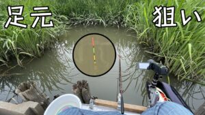 まわりすべて草に囲まれた場所で釣りに没頭する