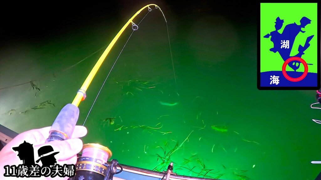 【激流】湖の水が一気に流れ出る場所　そこで日本で唯一できる漁法は凄すぎ！！　高級が大漁すぎる妻