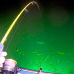 【激流】湖の水が一気に流れ出る場所　そこで日本で唯一できる漁法は凄すぎ！！　高級が大漁すぎる妻