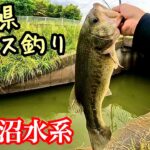 柴山沼水系でバス釣り【埼玉県】