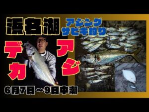 親父「こんなんおるのか？」浜名湖で豆アジからデカアジ!!サビキ釣り&アジング楽しんで来ました🎣メタルジグには何が掛かった？