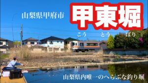 県内唯一のへらぶな管理釣り場 甲東堀でへらぶな釣り 山梨県甲府市