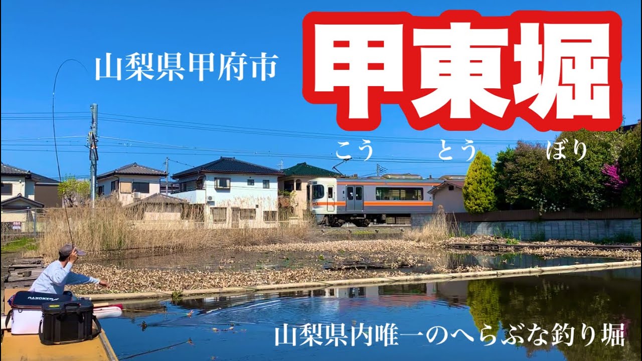 県内唯一のへらぶな管理釣り場 甲東堀でへらぶな釣り 山梨県甲府市