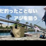 【浜名湖 釣り】アジ釣りに挑戦☆サビキ釣り