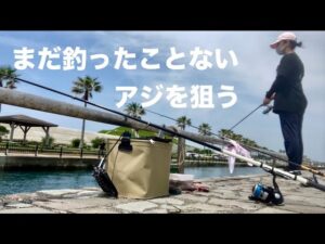 【浜名湖 釣り】アジ釣りに挑戦☆サビキ釣り